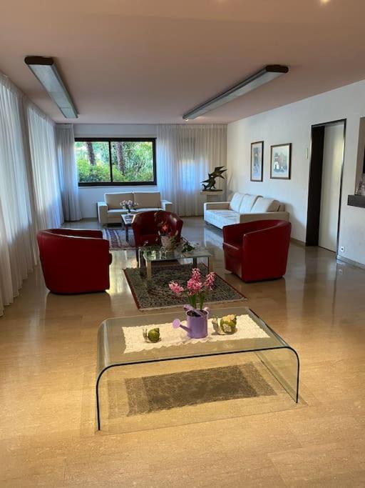 Ascona: Residenza Sabrina,App 2.5 Locali E Piscina Appartement Buitenkant foto